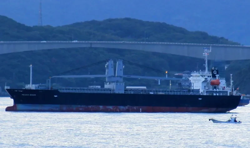 TOYO DREAM General Cargo IMO 9543275 photo 10