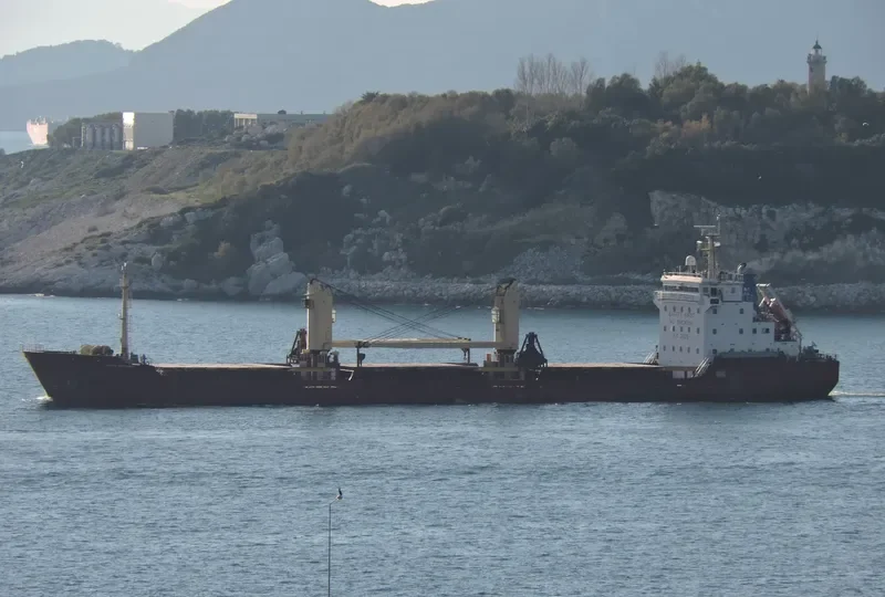 NAVIN VULTURE General Cargo IMO 9543328 photo 9