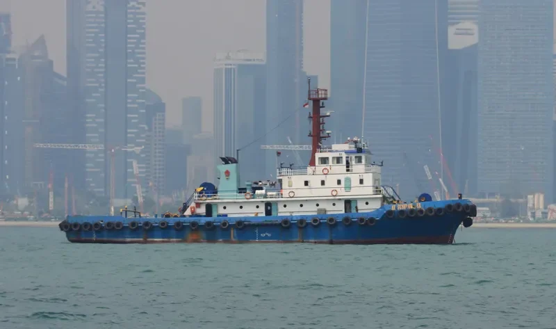 PS SUNFLOWER General Cargo IMO 9543330