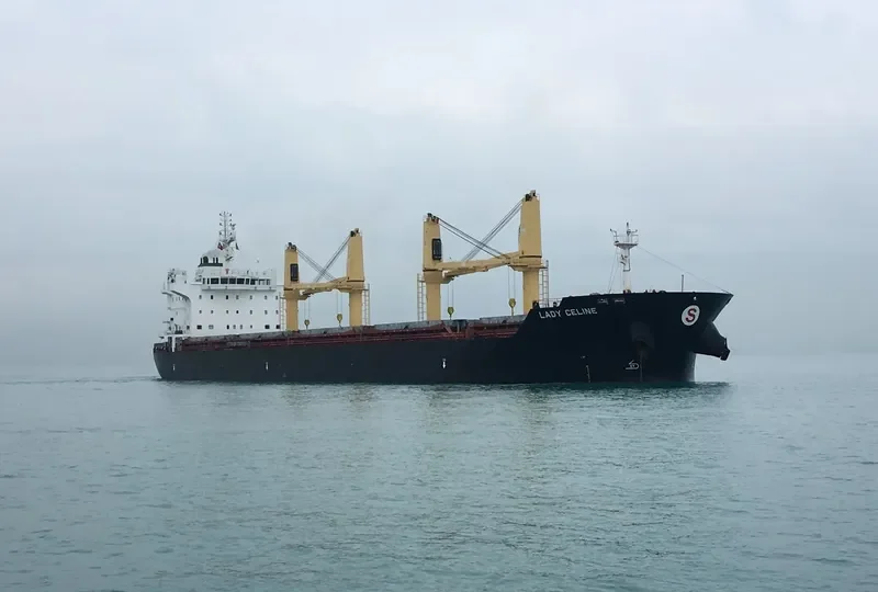 ELDORIS Bulk Carrier IMO 9543342