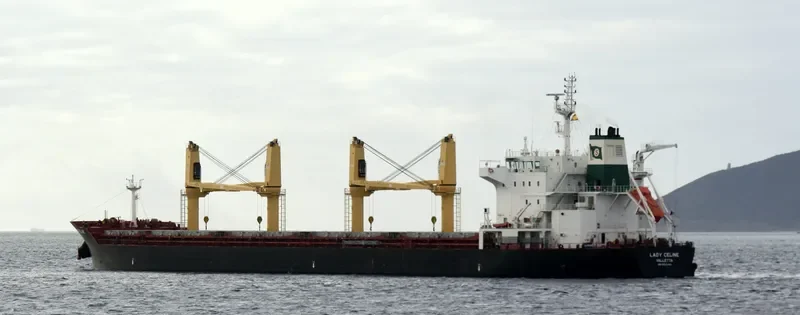 ELDORIS Bulk Carrier IMO 9543342 photo 2