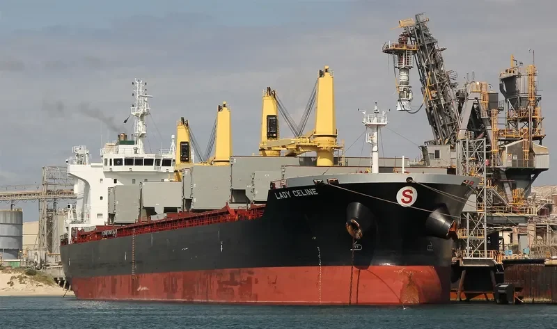 ELDORIS Bulk Carrier IMO 9543342 photo 5