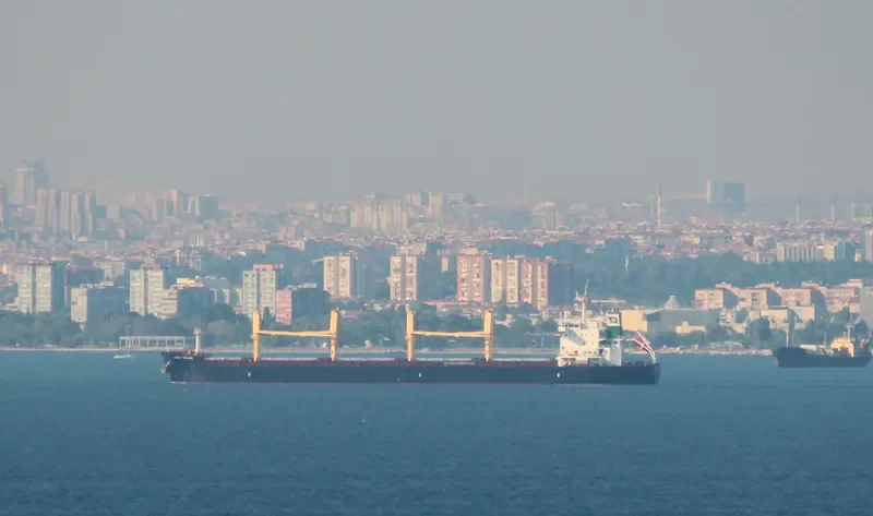 ELDORIS Bulk Carrier IMO 9543342 photo 7