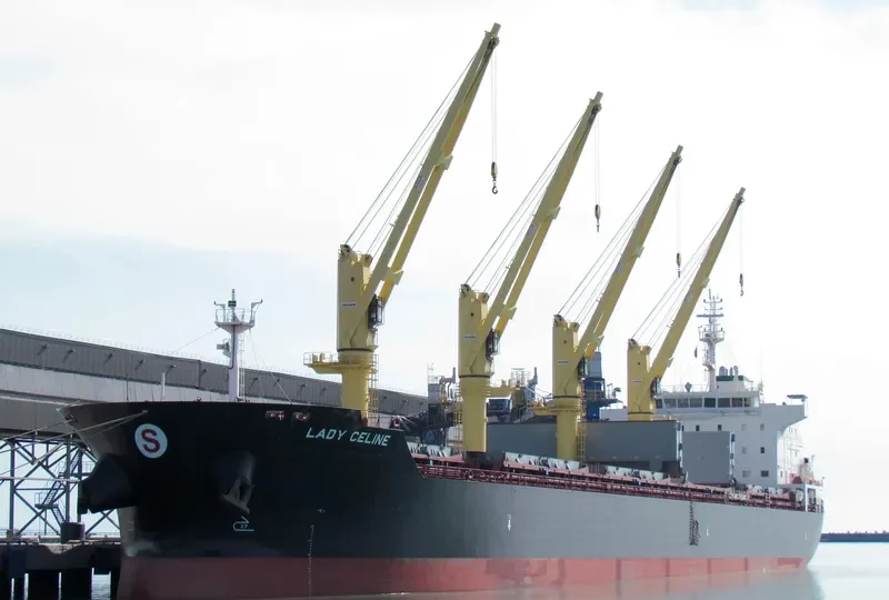 ELDORIS Bulk Carrier IMO 9543342 photo 8