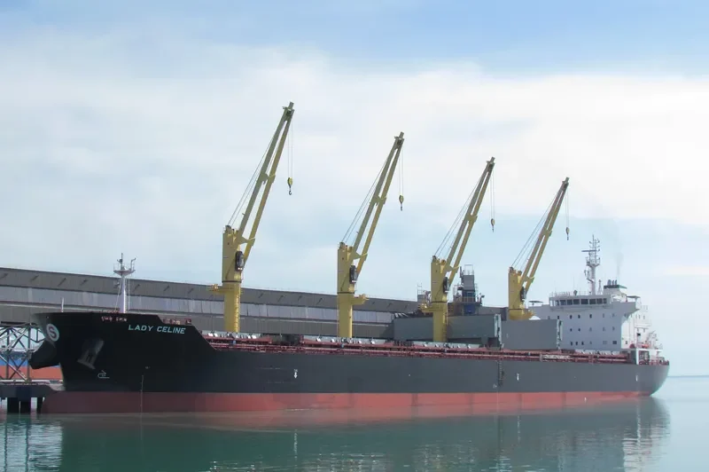 ELDORIS Bulk Carrier IMO 9543342 photo 9