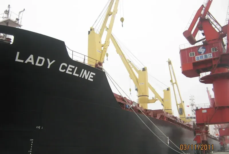 ELDORIS Bulk Carrier IMO 9543342 photo 10