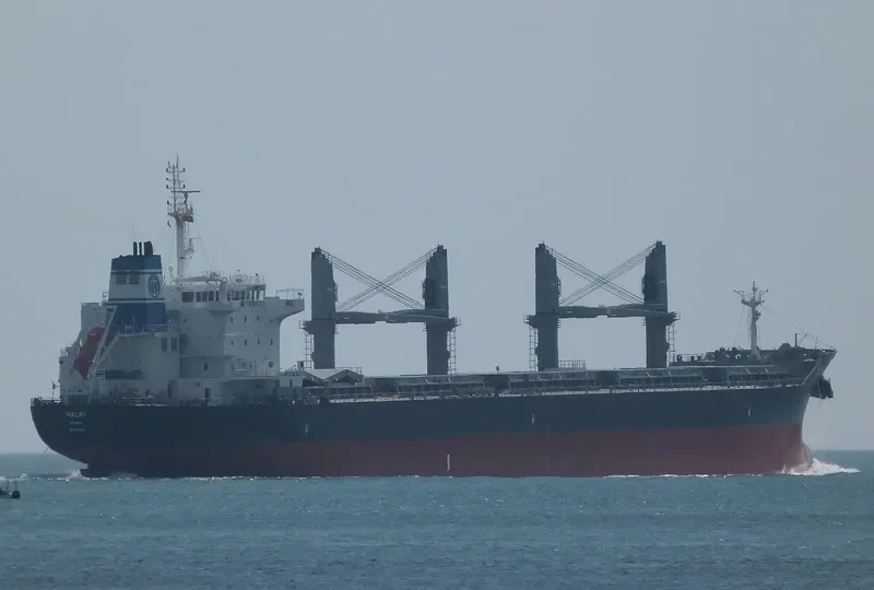 HALKI Bulk Carrier IMO 9543419 photo 7