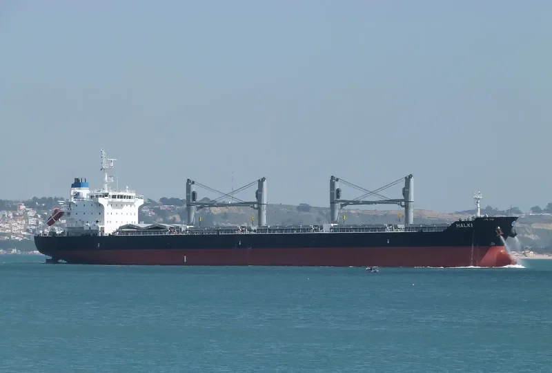 HALKI Bulk Carrier IMO 9543419 photo 8