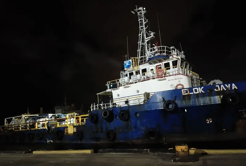 USV ELOK JAYA General Cargo IMO 9543483 photo 10