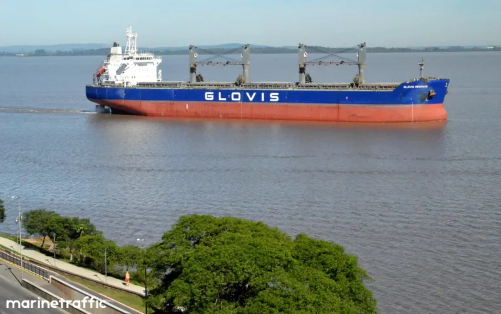 GLOVIS MERMAID Bulk Carrier IMO 9543603 photo 5