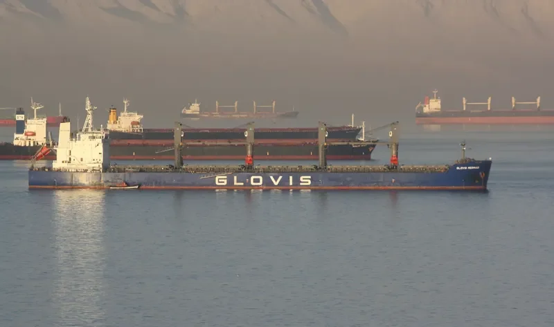 GLOVIS MERMAID Bulk Carrier IMO 9543603 photo 126