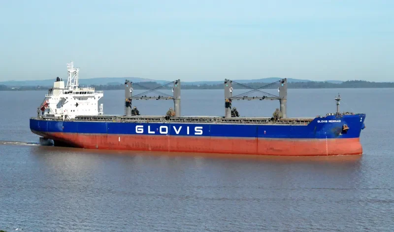 GLOVIS MERMAID Bulk Carrier IMO 9543603 photo 198