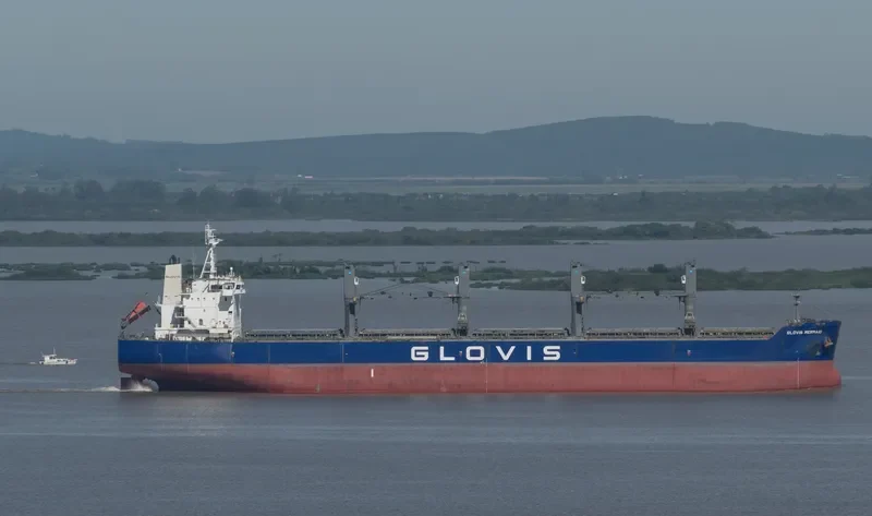 GLOVIS MERMAID Bulk Carrier IMO 9543603 photo 222