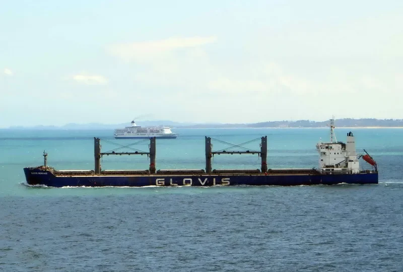 GLOVIS MERMAID Bulk Carrier IMO 9543603 photo 245