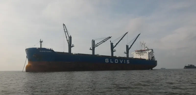 GLOVIS MARIA Bulk Carrier IMO 9543615 photo 25
