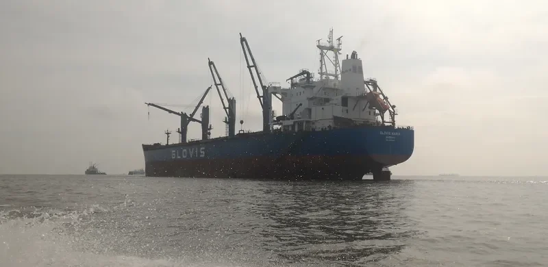 GLOVIS MARIA Bulk Carrier IMO 9543615 photo 35