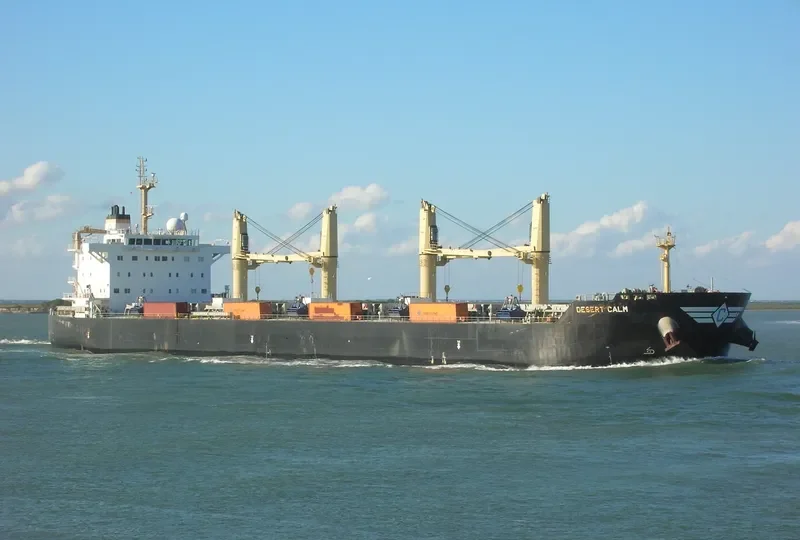 DESERT CALM Bulk Carrier IMO 9543677 photo 4