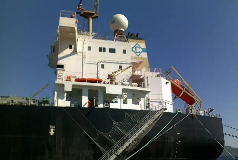 DESERT CALM Bulk Carrier IMO 9543677 photo 7