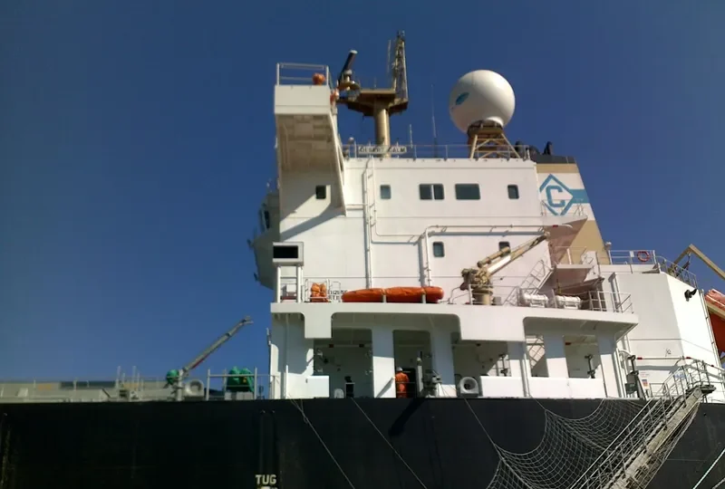 DESERT CALM Bulk Carrier IMO 9543677 photo 8