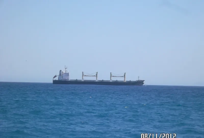DESERT CALM Bulk Carrier IMO 9543677 photo 10