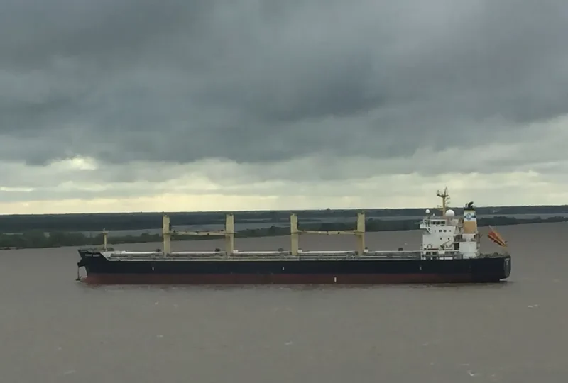 DESERT GLORY Bulk Carrier IMO 9543691