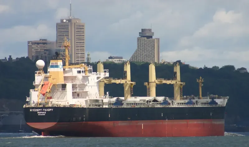 DESERT GLORY Bulk Carrier IMO 9543691 photo 2