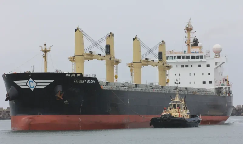 DESERT GLORY Bulk Carrier IMO 9543691 photo 7