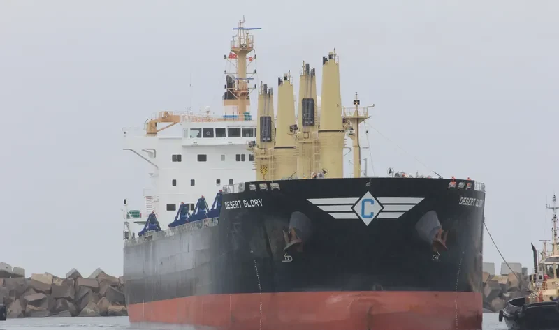 DESERT GLORY Bulk Carrier IMO 9543691 photo 8