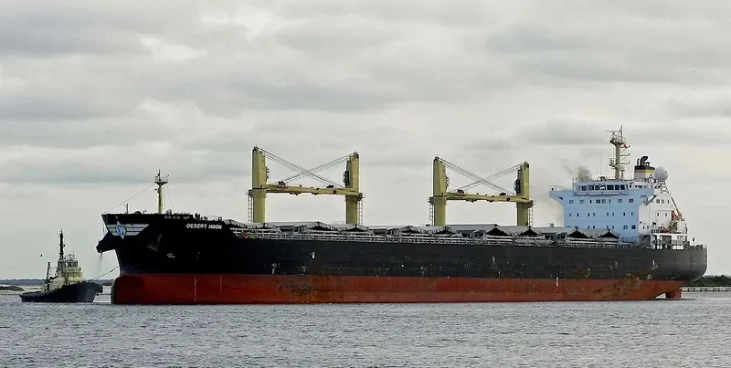 DESERT MOON Bulk Carrier IMO 9543770 photo 5