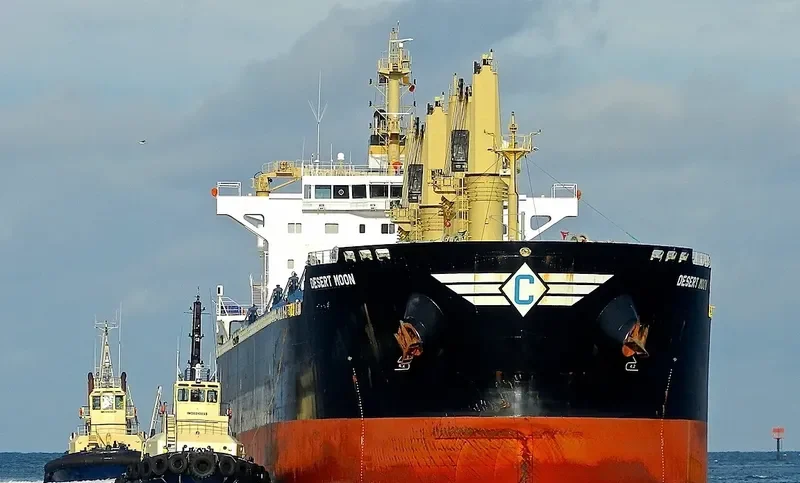 DESERT MOON Bulk Carrier IMO 9543770 photo 7