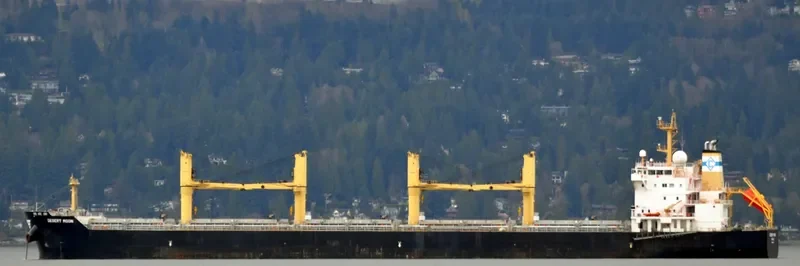 DESERT MOON Bulk Carrier IMO 9543770 photo 10