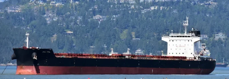 SPETSES SPIRIT Bulk Carrier IMO 9543885 photo 3