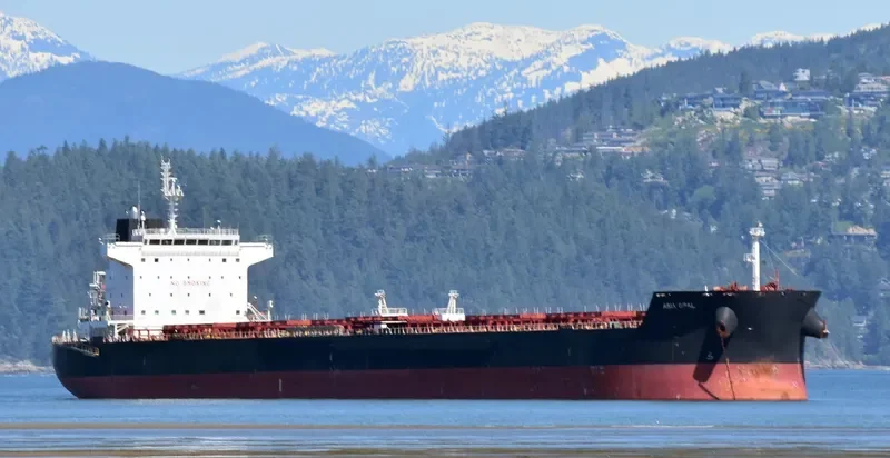 SPETSES SPIRIT Bulk Carrier IMO 9543885 photo 5