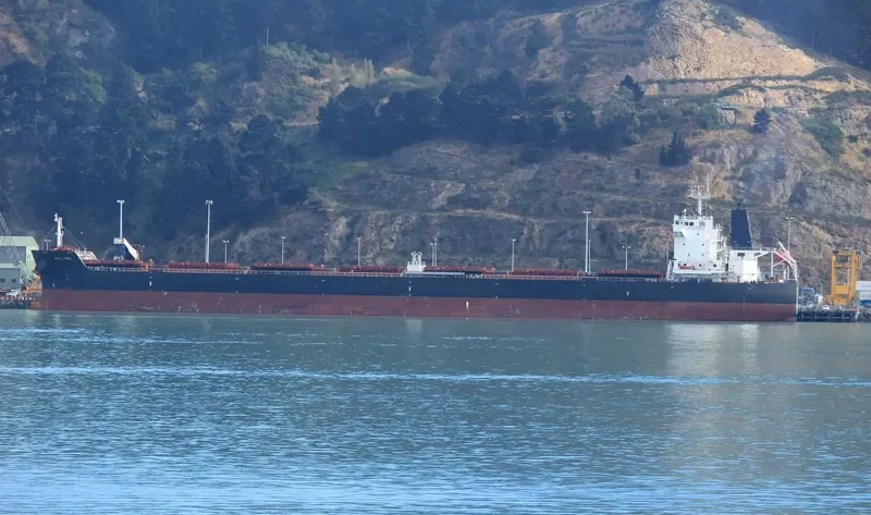 SPETSES SPIRIT Bulk Carrier IMO 9543885 photo 6