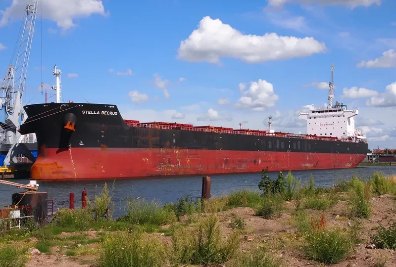 SPETSES SPIRIT Bulk Carrier IMO 9543885 photo 10