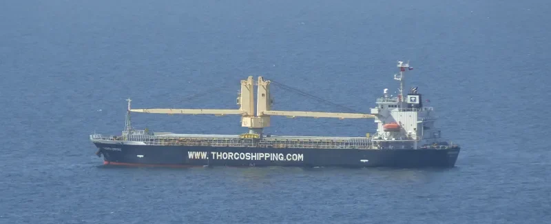 REYNA SMILE General Cargo IMO 9543938 photo 3