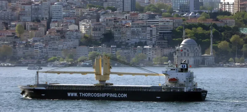 REYNA SMILE General Cargo IMO 9543938 photo 5