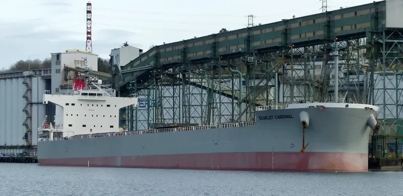 SCARLET CARDINAL Bulk Carrier IMO 9544059