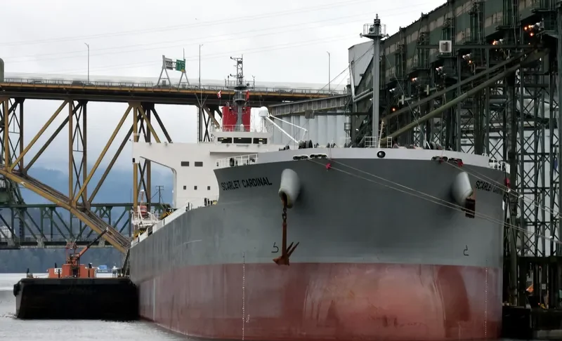 SCARLET CARDINAL Bulk Carrier IMO 9544059 photo 4