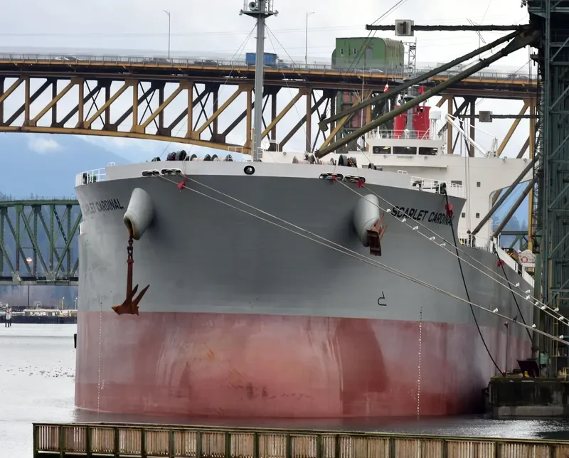 SCARLET CARDINAL Bulk Carrier IMO 9544059 photo 5