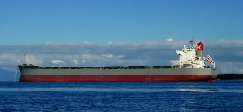 SCARLET CARDINAL Bulk Carrier IMO 9544059 photo 6