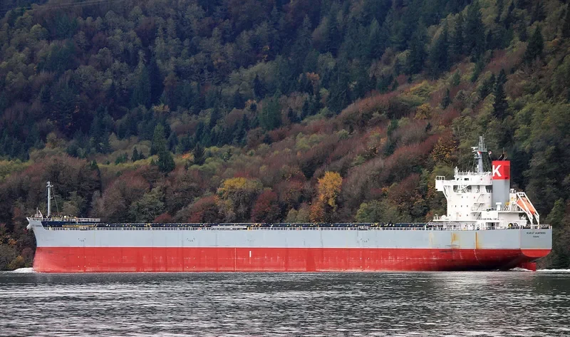 SCARLET ALBATROSS Bulk Carrier IMO 9544061