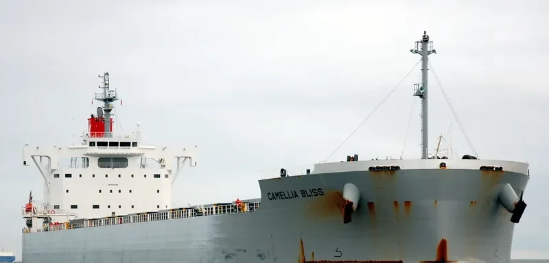 CAMELLIA BLISS Bulk Carrier IMO 9544085