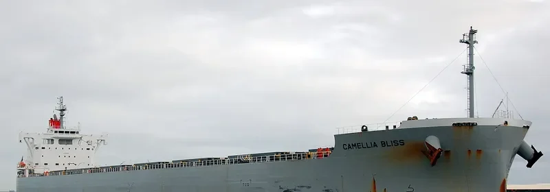 CAMELLIA BLISS Bulk Carrier IMO 9544085 photo 2