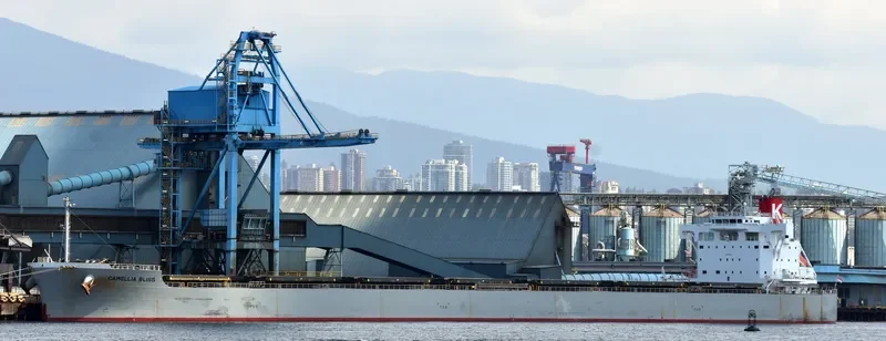 CAMELLIA BLISS Bulk Carrier IMO 9544085 photo 7