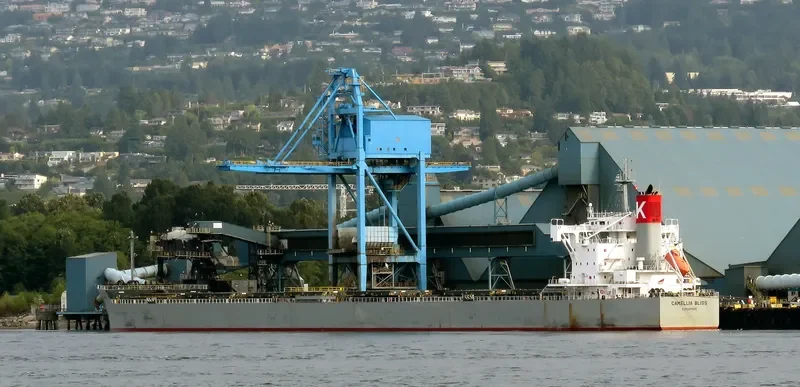 CAMELLIA BLISS Bulk Carrier IMO 9544085 photo 10