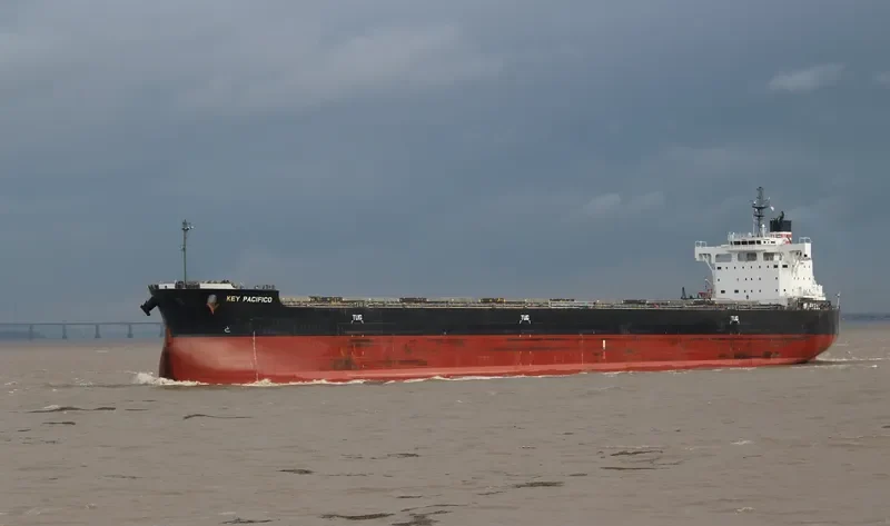 YM PACIFICO Bulk Carrier IMO 9544102 photo 3