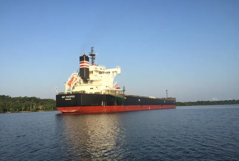 YM PACIFICO Bulk Carrier IMO 9544102 photo 7