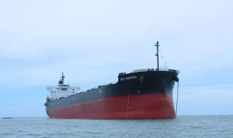 YM PACIFICO Bulk Carrier IMO 9544102 photo 9
