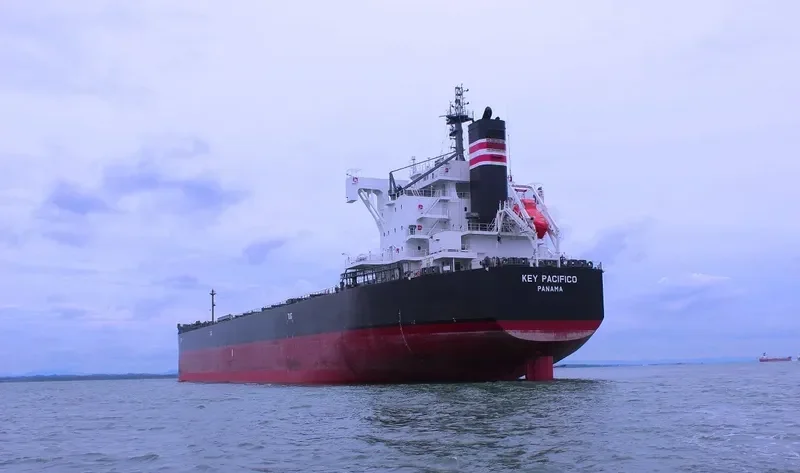 YM PACIFICO Bulk Carrier IMO 9544102 photo 10